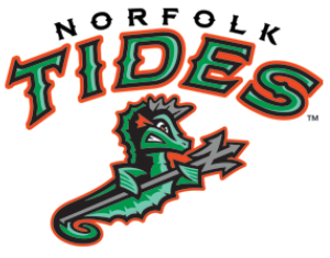 Norfolk Tides 2016-Pres Alternate Logo v2 iron on transfers for T-shirts